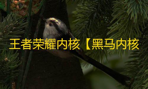 王者荣耀内核【黑马内核】辅助